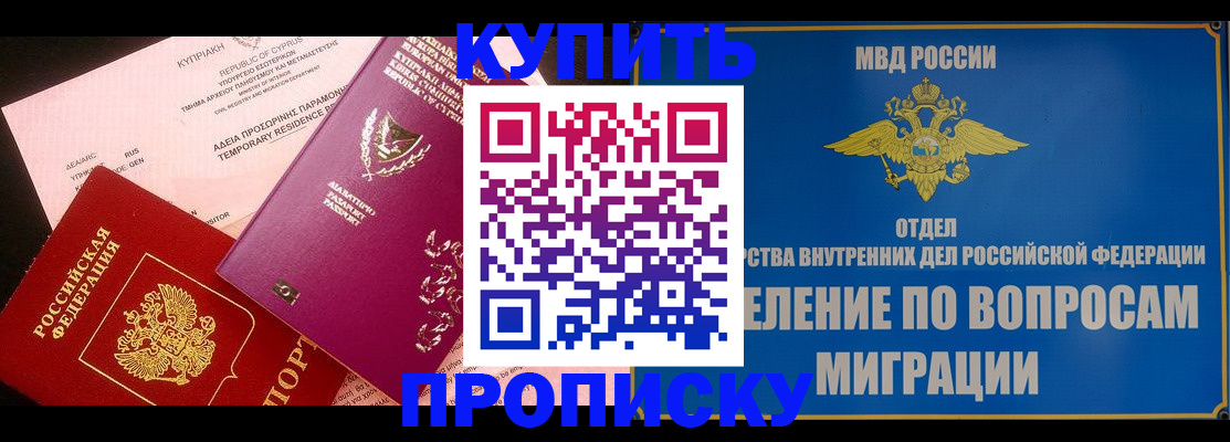 где прописаться в Коле